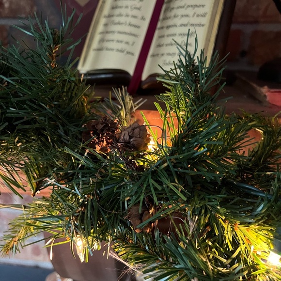 Vintage 1990's Apple and Pear
Pinecone Garland 8 Feet Long - Picture 10 of 11